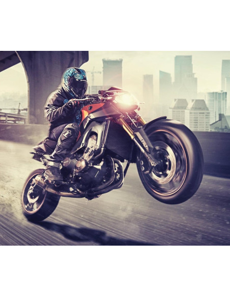 CASCO ICON ALLIANCE BERSERKER BLUE