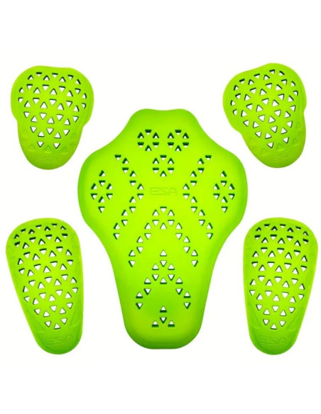 CONJUNTO DE PROTECCIONES PARA CAZADORA DE MOTO