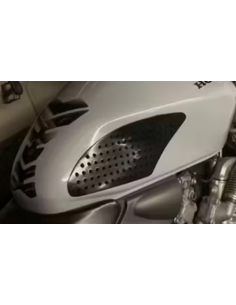 PROTECTOR LATERAL DE DEPOSITO 2